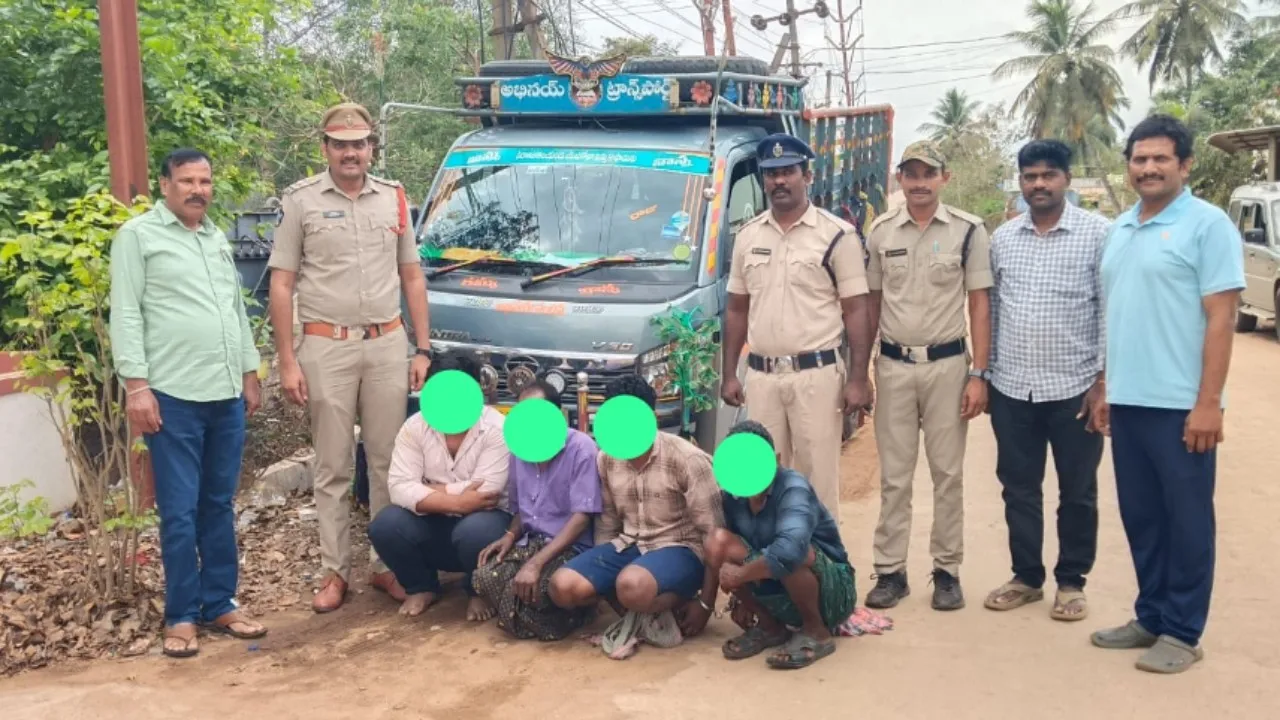గేదెల దొంగలు అరెస్ట్