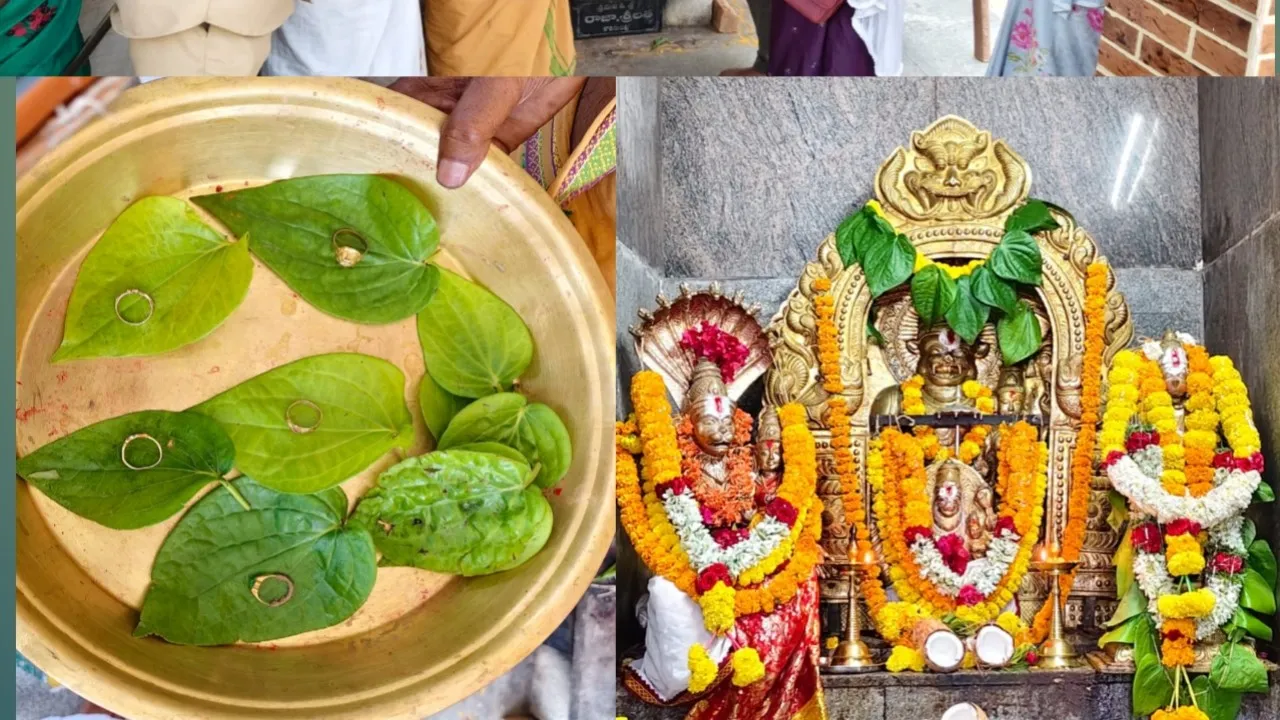 చోరీకి గురైన బంగారు ఉంగరాలు లభ్యం