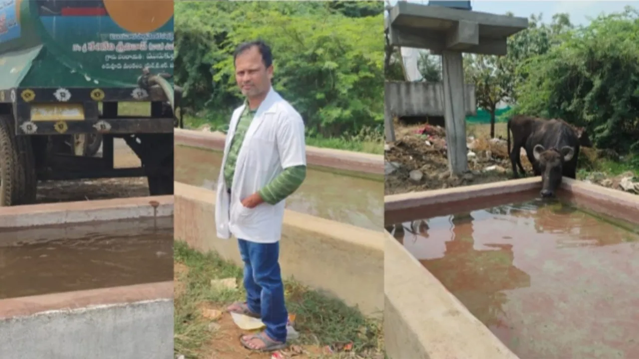 వేసవికాలంలో మూగజీవాల కోసం నీటి తొట్టెల ఏర్పాటు