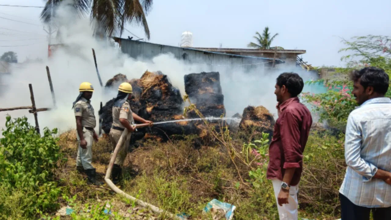చిన్నంపేట గ్రామంలో గడ్డి కాలిపోవడంతో 25 వేల రూపాయల నష్టం