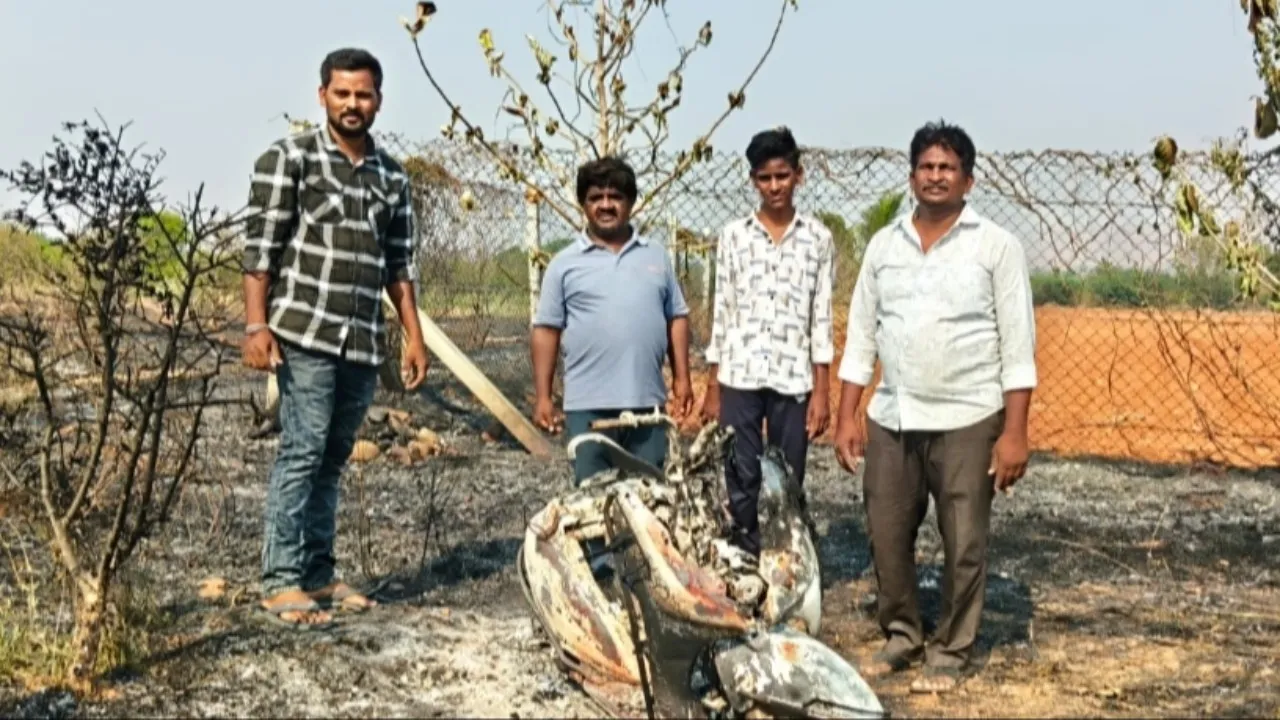 దానిమ్మ తోటకు నిప్పు.. రైతుకు రూ.15 లక్షల నష్టం