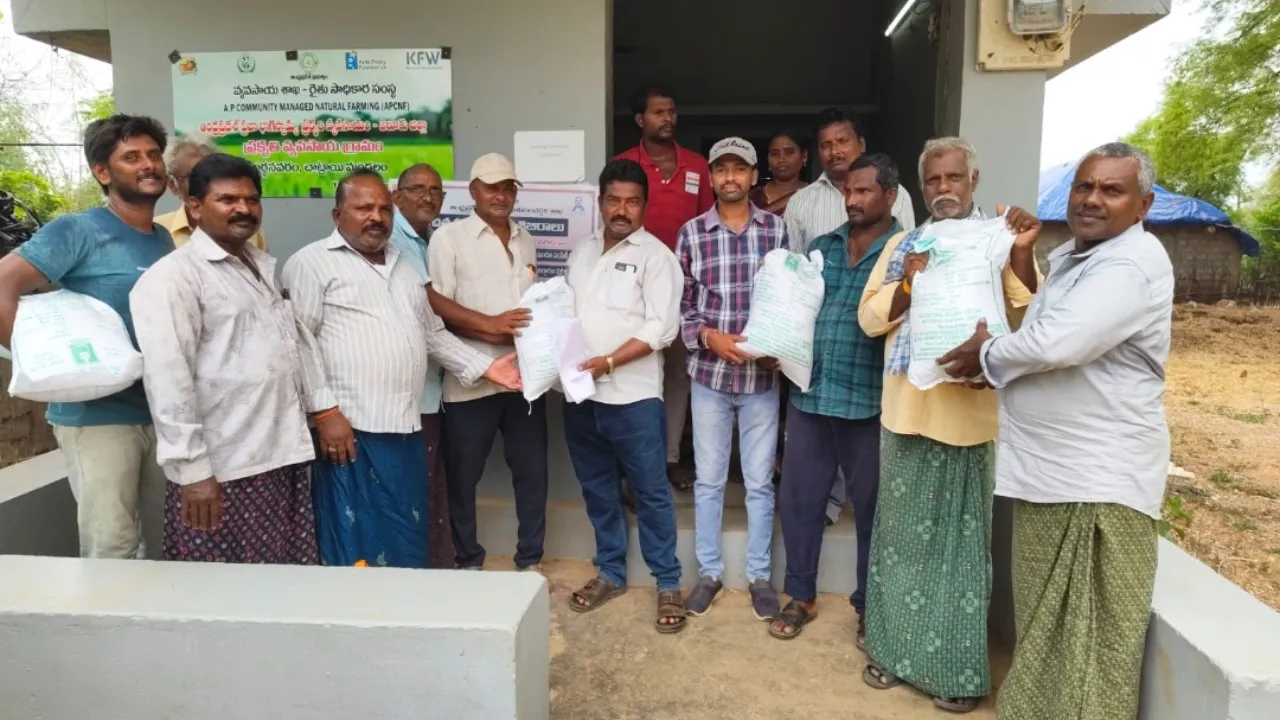 పచ్చిరొట్ట విత్తనాలతో భూమి సారాన్ని పెంచుకోవాలి