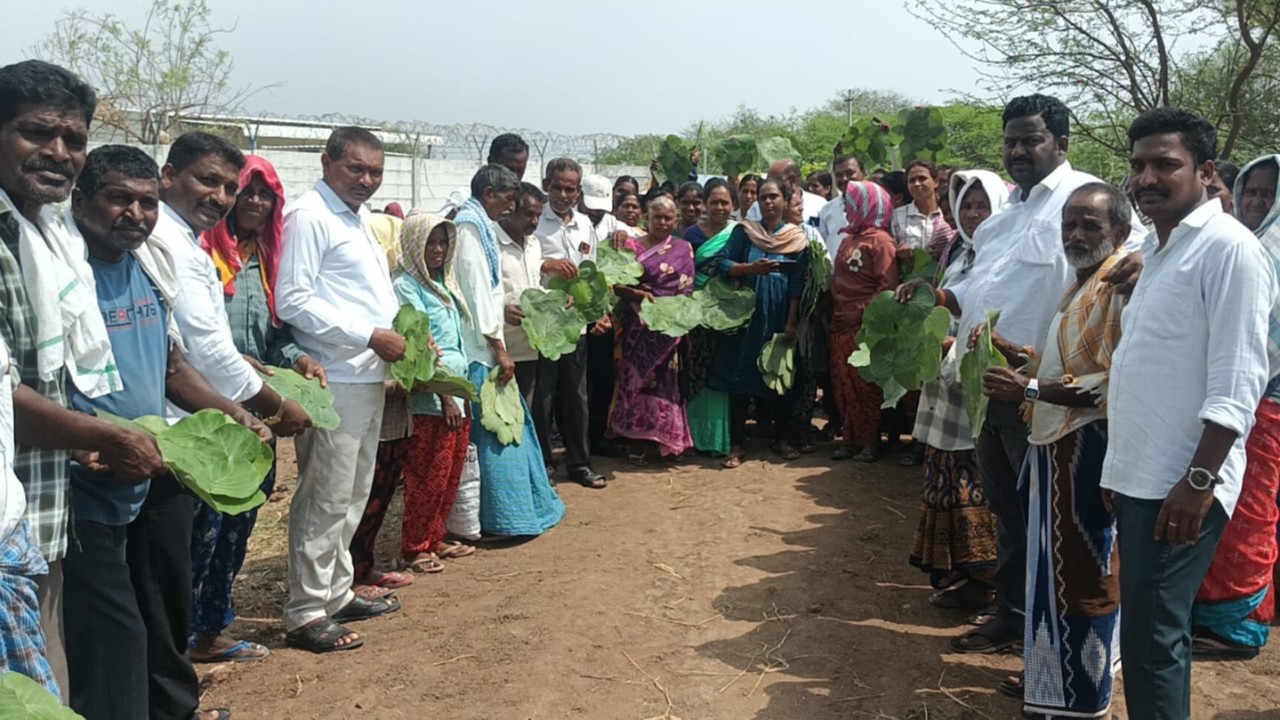 ప్రపంచ పర్యావరణ దినోత్సవం సందర్భంగా శనిగరం గ్రామంలో 