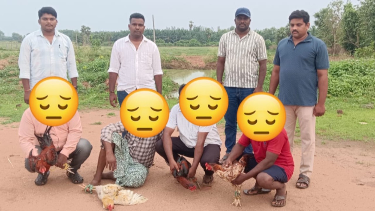 కోటపాడులో కోడి పందాల స్థావరంపై పోలీసుల దాడి.. నలుగురు అరెస్ట్