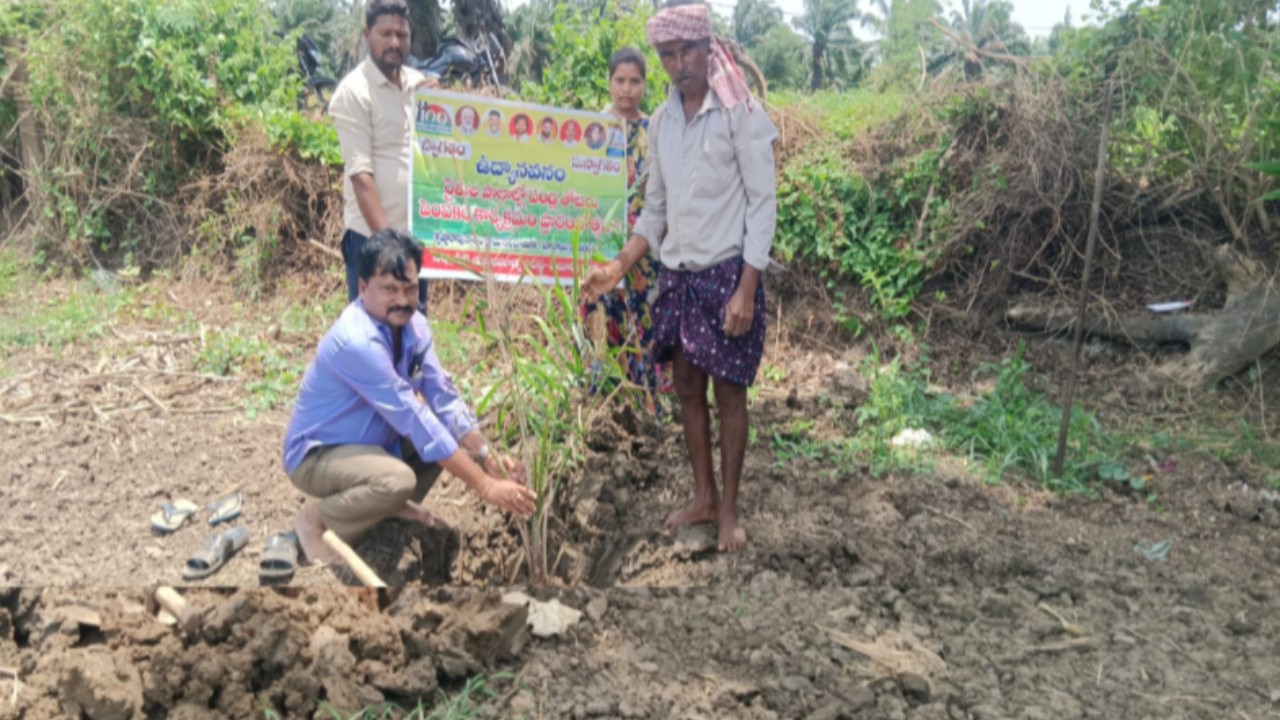 చాట్రాయిలో ఉద్యానవన పంటలపై రైతులకు అవగాహన
