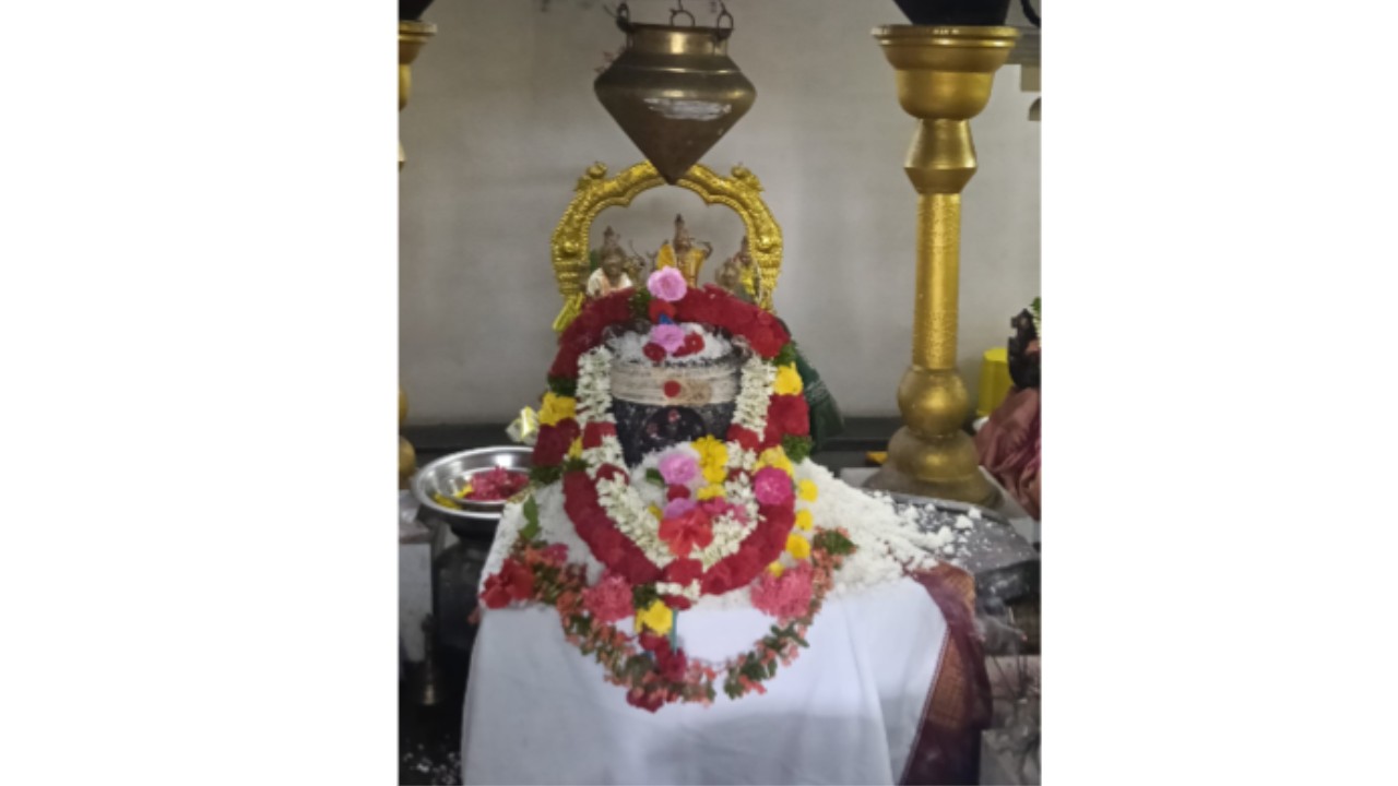 మేడూరులో 1116 శివలింగాల ఆలయంలో వైభవంగా అన్నాభిషేకం