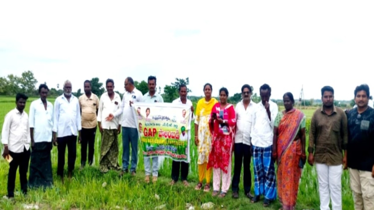 పొలం పిలుస్తోంది కార్యక్రమంలో రైతులకు కీలక సూచనలు
