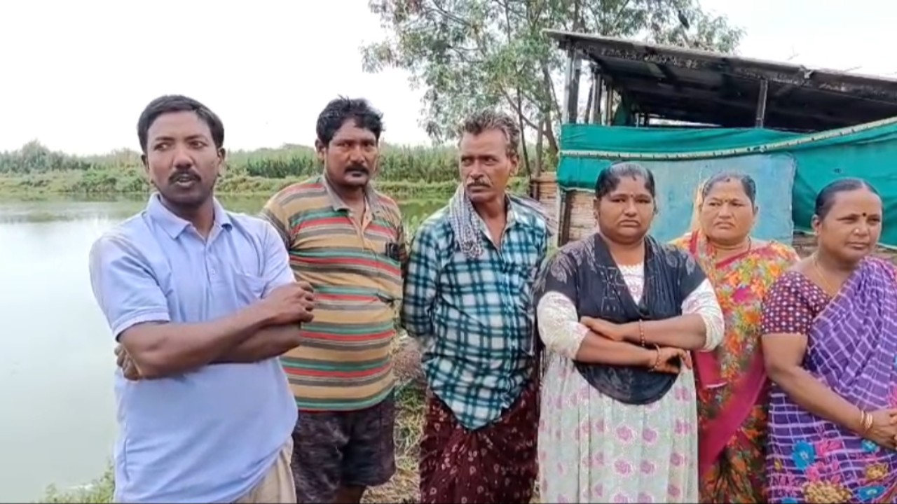 కొల్లేరులో అక్రమ చెరువుల ముసుగులో కూలీల కన్నీరు..!