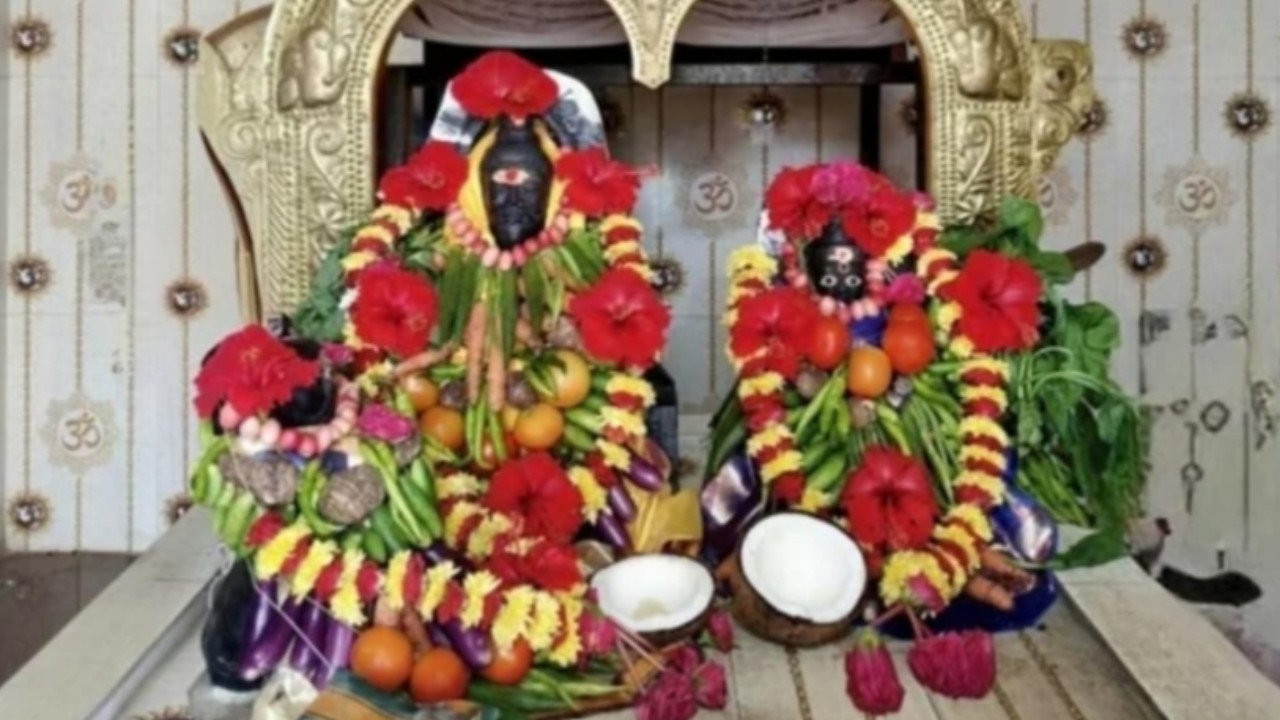 పెనుగొలనులో వీరబ్రహ్మేంద్రస్వామి ఆలయంలో శాకాంబరి ఉత్సవాలు