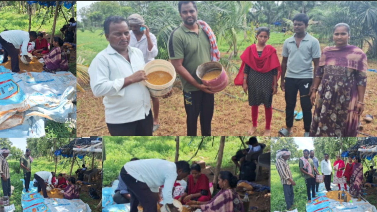 అశ్వగంధ సాగుతో ఆరోగ్యానికి భరోసా..