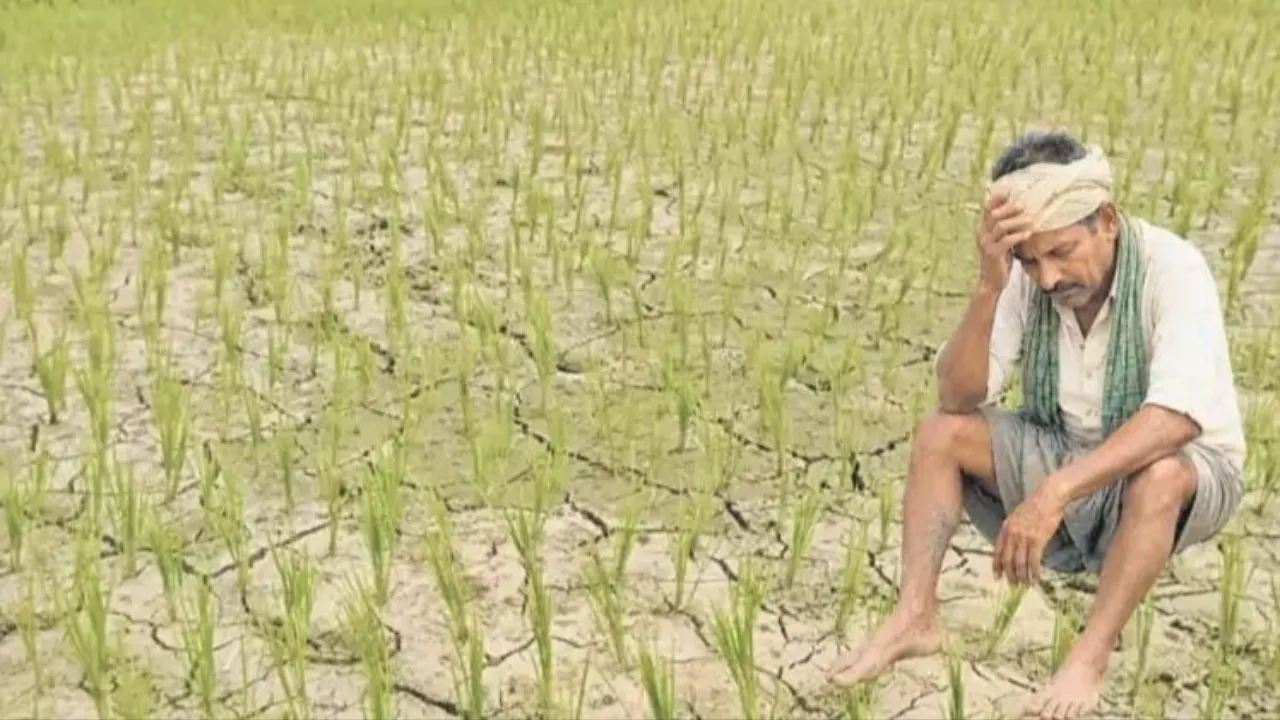 సిద్దిపేట: కరెంట్‌ కట్‌కట్‌.. రైతుల కష్టాలు రెట్టింపు