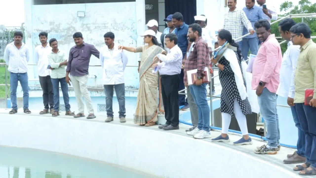 చలివాగు చెక్‌డ్యామ్‌ను పరిశీలించిన హనుమకొండ కలెక్టర్