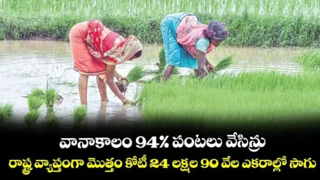 వానాకాలం సాగులో 94 శాతం పూర్తి.. 1.24 కోట్ల ఎకరాల్లో పంటలు