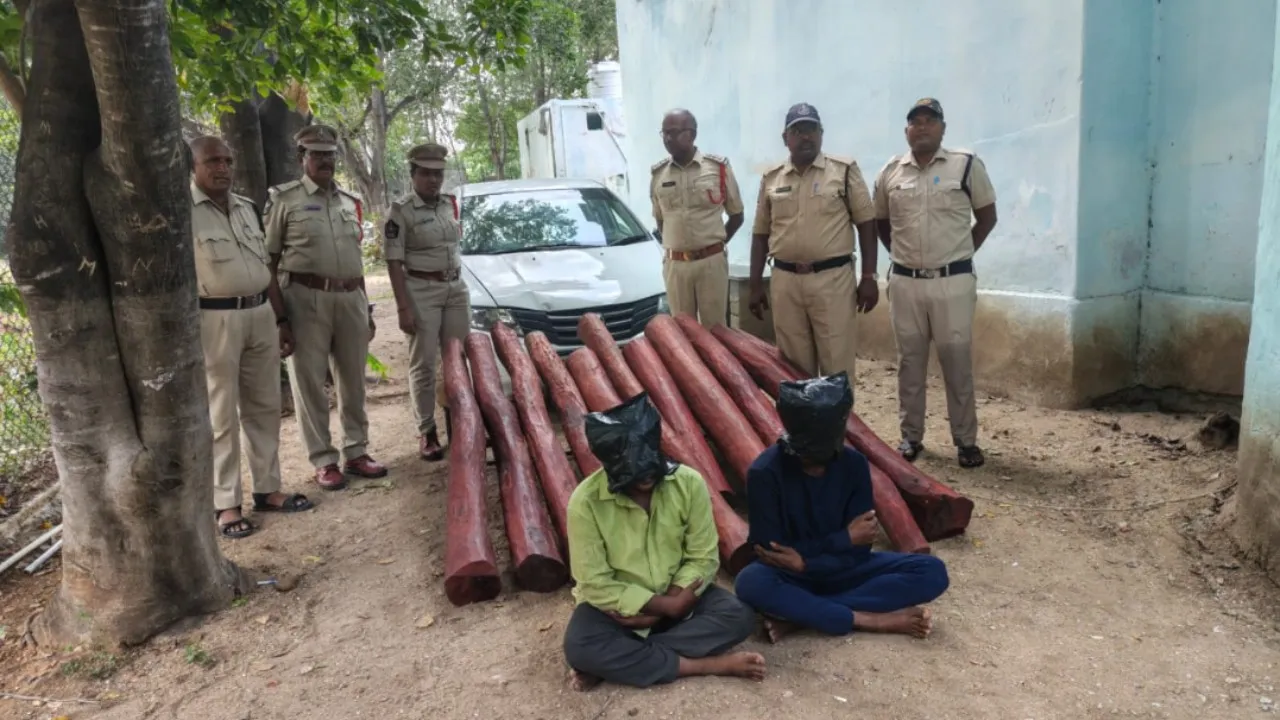 11 ఎర్రచందనం దుంగలు స్వాధీనం.. ఇద్దరు అరెస్ట్