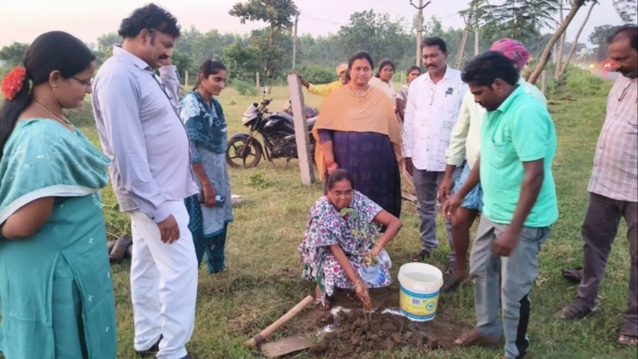 మొక్కలు నాటండి.. పర్యావరణాన్ని రక్షించండి